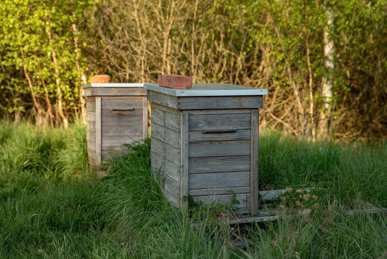 Zurawi Jar Bed and Breakfast Wabrzezno Exteriör bild